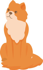 Cute ginger cat with a fluffy chest sitting and looking up with curiosity