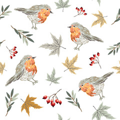 Autumn maple leaves, red berries, robin birds, white background. Vector seamless pattern. Fall season illustration. Nature design