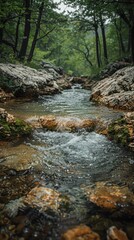 Naklejka premium A serene and tranquil forest creek flowing gently over moss-covered rocks, surrounded by dense green foliage, providing a perfect natural sanctuary away from the hustle and bustle of daily life
