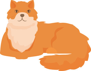 Red fluffy cat lying and resting, isolated on white background