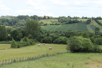 Panoramic view of village pasture and fields with hay, trees and fence