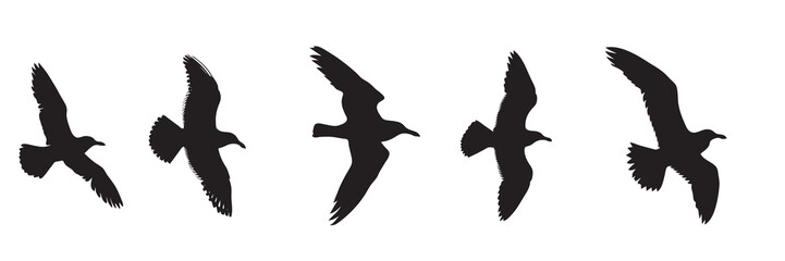 Flat icon, seagull flying Silhouette vector illustration