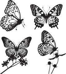 butterfly silhouette, butterfly icon, butterfly vector, 