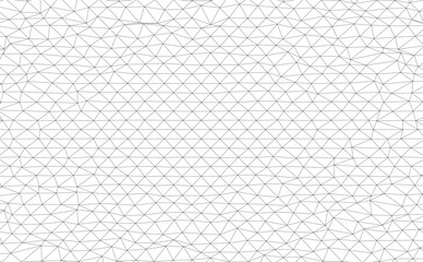 Fototapeta premium Architectural drawing. Geometric background