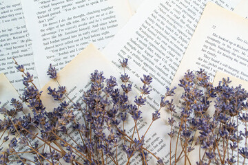 lavender flowers in the region