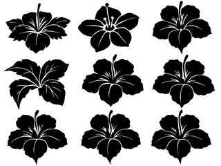 seamless floral pattern, seamless floral background. black and white flower Black and White Floral Pattern and Backgrounds, Perfect for Decorative Use, Wallpaper, and Textile Designs