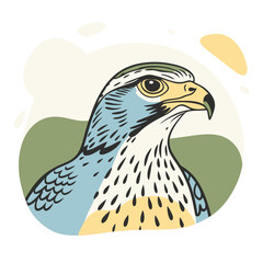 Hawk Colorfui vector for uses