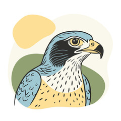 Hawk Colorfui vector for uses