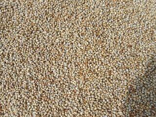 Pearl millet seeds or grain.Pennisetum glaucum seeds or grain pattern background 