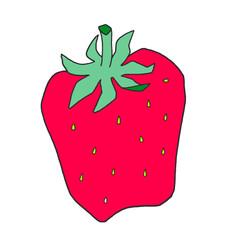 Strawberry vector. Sweet red fruit