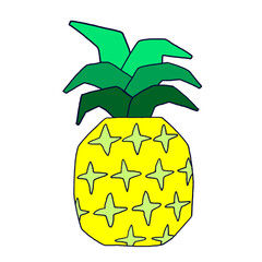 tropical pineapple vector. Sweet sour yellow fruit