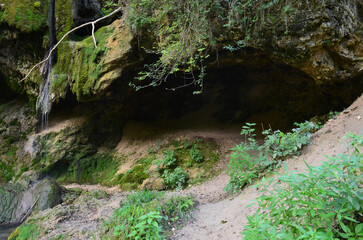 Cave in the forest