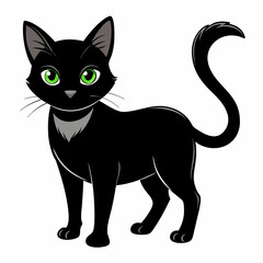 black cat isolated on white