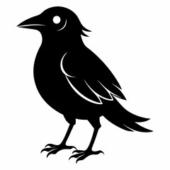 Black bird silhouette on white background
