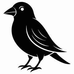 Fototapeta premium Black bird silhouette on white background 