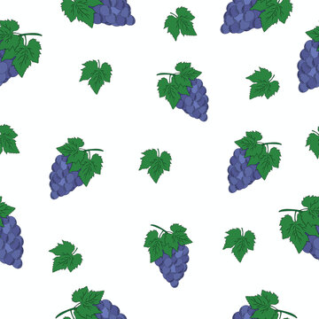 Grapes pattern on white background,green and purple color,vector illusreation.