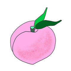 sweet lovely peach fruit vector