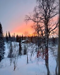 Beautiful winter sun in a forest landscape Norway.