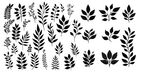 Collection of black and white leaf silhouettes. Botanical vector design.