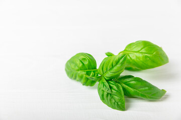 Fototapeta premium Green basil leaves on a textured wooden background. Kitchen herbs, spices. Fresh green organic basil. Vegan. Greens for salad. Place for text. Copy space.