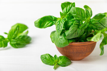 Green basil leaves on a textured wooden background. Kitchen herbs, spices. Fresh green organic basil. Vegan. Greens for salad. Place for text. Copy space.