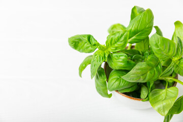 Green basil leaves on a textured wooden background. Kitchen herbs, spices. Fresh green organic basil. Vegan. Greens for salad. Place for text. Copy space.