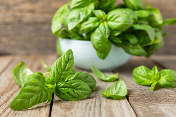 Green basil leaves on a textured wooden background. Kitchen herbs, spices. Fresh green organic basil. Vegan. Greens for salad. Place for text. Copy space.