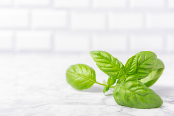 Obraz premium Green basil leaves on a textured wooden background. Kitchen herbs, spices. Fresh green organic basil. Vegan. Greens for salad. Place for text. Copy space.