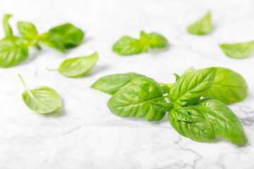 Green basil leaves on a textured wooden background. Kitchen herbs, spices. Fresh green organic basil. Vegan. Greens for salad. Place for text. Copy space.