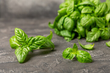 Green basil leaves on a textured wooden background. Kitchen herbs, spices. Fresh green organic basil. Vegan. Greens for salad. Place for text. Copy space.
