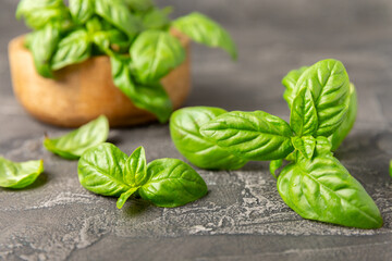 Fototapeta premium Green basil leaves on a textured wooden background. Kitchen herbs, spices. Fresh green organic basil. Vegan. Greens for salad. Place for text. Copy space.