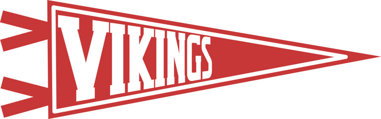 Vikings Team Graphic