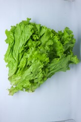 Fototapeta premium Fresh Green Leaf Lettuce Isolated on White Background