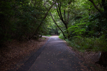 Naklejka premium 公園の風景