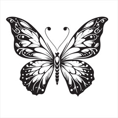 better fly Silhouette vector art illustration white back ground..