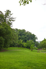 公園の風景