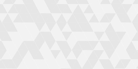 Abstract digital grid light pattern white Polygon Mosaic triangle Background, business and corporate background. geometric seamless technology gray and white triangle element light background. 