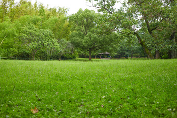 公園の風景