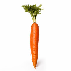 carrot
