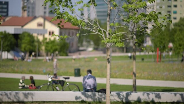 blurry scenery, blurry background of a park