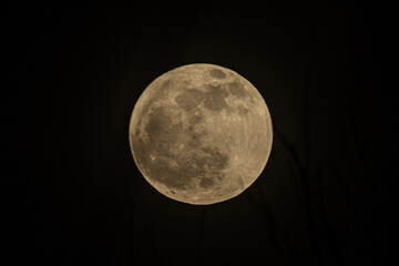 Obraz premium full moon over sky