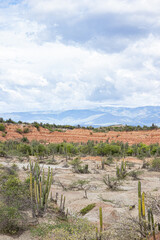 view of the valley of the kings