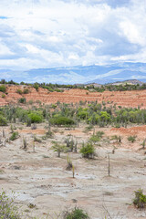 view of the valley of the kings