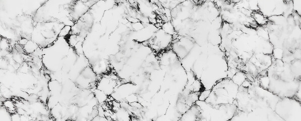 Obraz premium White marble texture with black veins