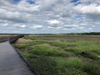 wooden bridge over river