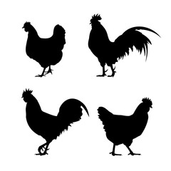Rooster and hen silhouettes isolated on white background. Vector illustration of rooster and hen for farm