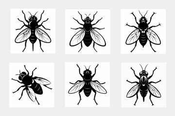 set of insects vector