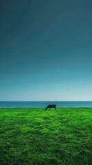 horse grazing in a green field with the ocean in the background