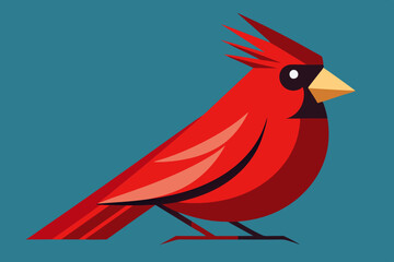 Cute cardinal bird vector art illustration