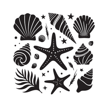 Set of different black sea shells and starfish vector illustration